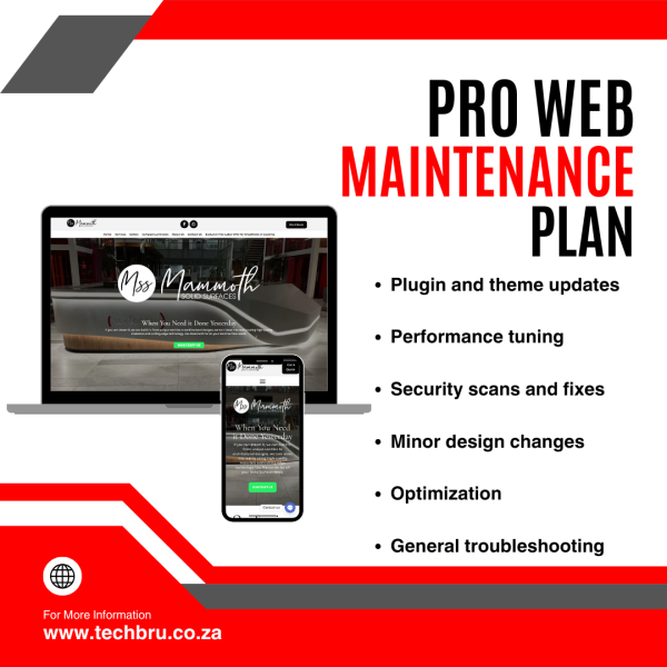 Pro Web Maintenance Plan.